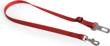 Camon Car Safety Leash 25mm - automašīnas drošības josta, platums 25mm