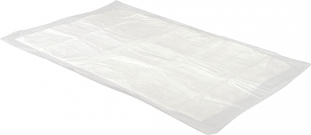 Camon Absorbējoši vienreizēji paladziņi suņiem 60x60 cm 25gb.